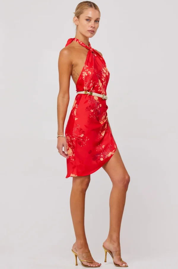 RESA Dresses | Diana Dress In Blossom